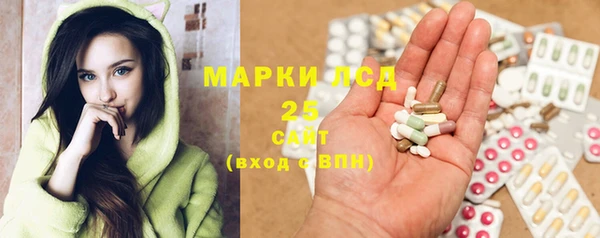 прущий лед Алзамай