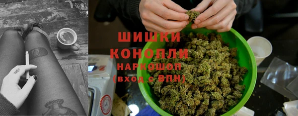 прущие грибы Алексеевка