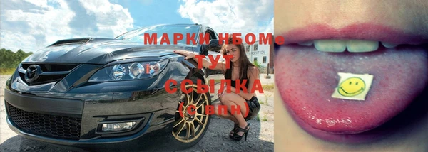 прущий лед Алзамай