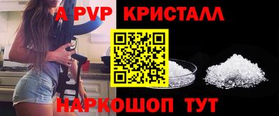 молекула духа Краснодар