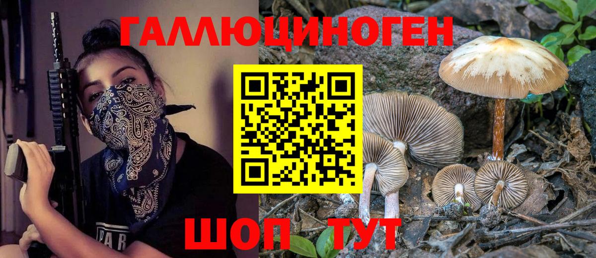 Псилоцибиновые грибы мицелий Кропоткин