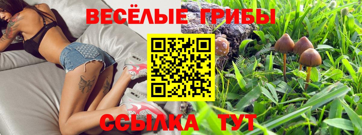 Галлюциногенные грибы мухоморы  Галлюциногенные грибы Psilocybe  Вход с VPN  Кропоткин 